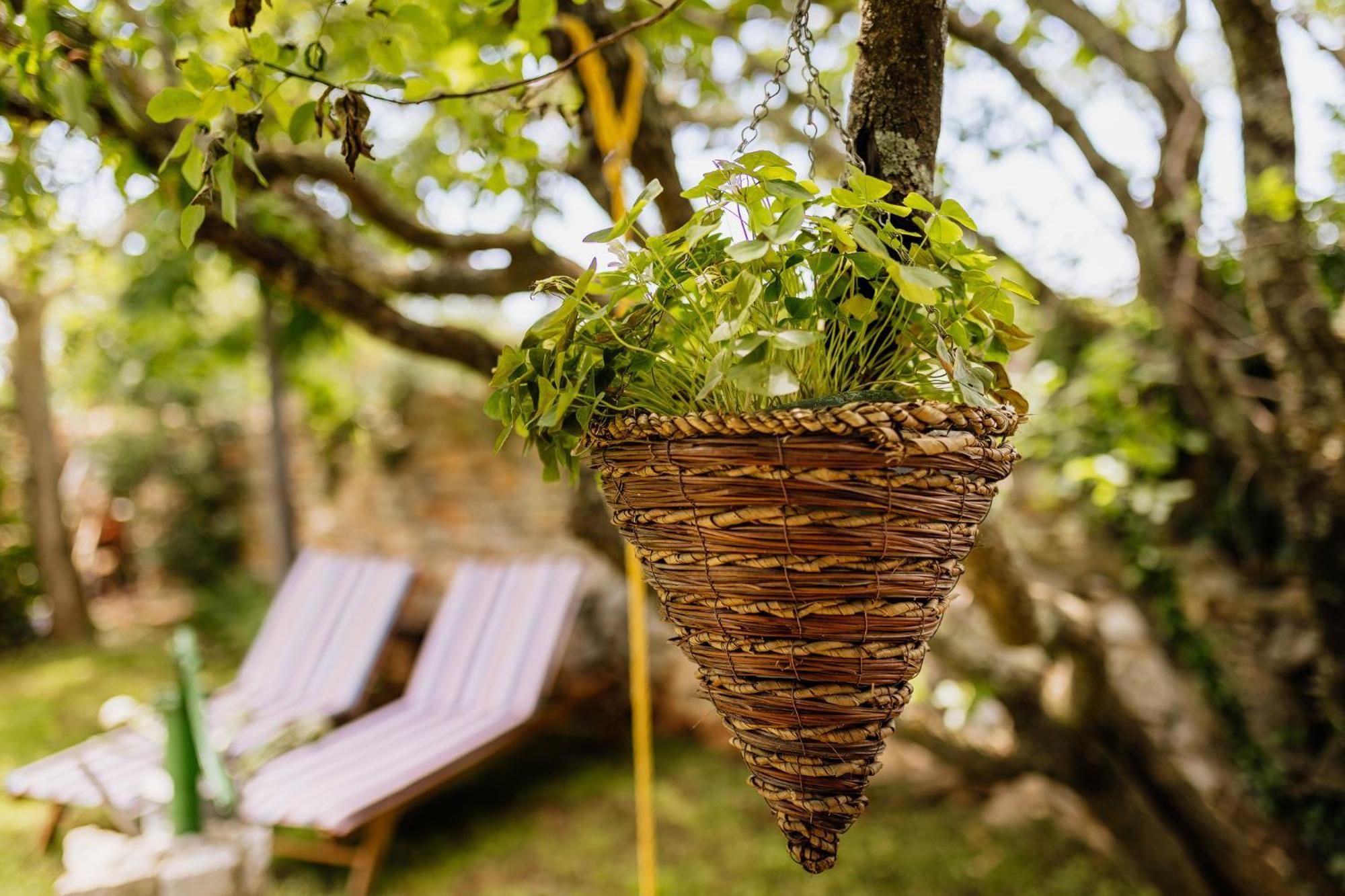 Peroj's Green Oasis - Holiday home Buitenkant foto